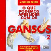 O QUE PODEMOS APRENDER COM OS GANSOS VOL..2.pdf